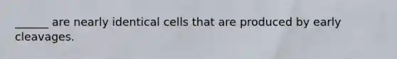 ______ are nearly identical cells that are produced by early cleavages.