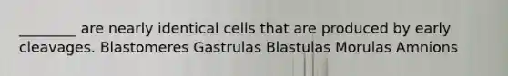 ________ are nearly identical cells that are produced by early cleavages. Blastomeres Gastrulas Blastulas Morulas Amnions