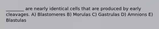 ________ are nearly identical cells that are produced by early cleavages. A) Blastomeres B) Morulas C) Gastrulas D) Amnions E) Blastulas