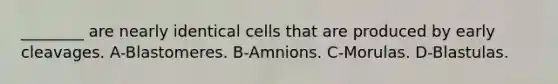 ________ are nearly identical cells that are produced by early cleavages. A-Blastomeres. B-Amnions. C-Morulas. D-Blastulas.