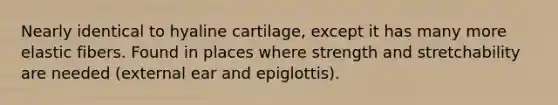 Nearly identical to hyaline cartilage, except it has many more elastic fibers. Found in places where strength and stretchability are needed (external ear and epiglottis).