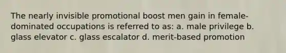 The nearly invisible promotional boost men gain in female-dominated occupations is referred to as: a. male privilege b. glass elevator c. glass escalator d. merit-based promotion