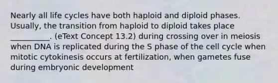 Nearly all life cycles have both haploid and diploid phases. Usually, the transition from haploid to diploid takes place __________. (eText Concept 13.2) during crossing over in meiosis when DNA is replicated during the S phase of the cell cycle when mitotic cytokinesis occurs at fertilization, when gametes fuse during embryonic development