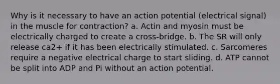 Why is it necessary to have an action potential (electrical signal) in the muscle for contraction? a. Actin and myosin must be electrically charged to create a cross-bridge. b. The SR will only release ca2+ if it has been electrically stimulated. c. Sarcomeres require a negative electrical charge to start sliding. d. ATP cannot be split into ADP and Pi without an action potential.