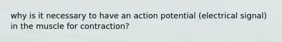 why is it necessary to have an action potential (electrical signal) in the muscle for contraction?