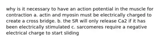 why is it necessary to have an action potential in the muscle for contraction a. actin and myosin must be electrically charged to create a cross bridge. b. the SR will only release Ca2 if it has been electrically stimulated c. sarcomeres require a negative electrical charge to start sliding