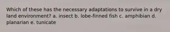 Which of these has the necessary adaptations to survive in a dry land environment? a. insect b. lobe-finned fish c. amphibian d. planarian e. tunicate