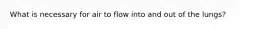 What is necessary for air to flow into and out of the lungs?