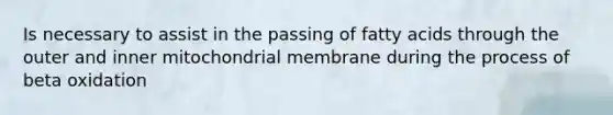 Is necessary to assist in the passing of fatty acids through the outer and inner mitochondrial membrane during the process of beta oxidation