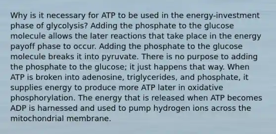 Why is it necessary for ATP to be used in the energy-investment phase of glycolysis? Adding the phosphate to the glucose molecule allows the later reactions that take place in the energy payoff phase to occur. Adding the phosphate to the glucose molecule breaks it into pyruvate. There is no purpose to adding the phosphate to the glucose; it just happens that way. When ATP is broken into adenosine, triglycerides, and phosphate, it supplies energy to produce more ATP later in <a href='https://www.questionai.com/knowledge/kFazUb9IwO-oxidative-phosphorylation' class='anchor-knowledge'>oxidative phosphorylation</a>. The energy that is released when ATP becomes ADP is harnessed and used to pump hydrogen ions across the mitochondrial membrane.