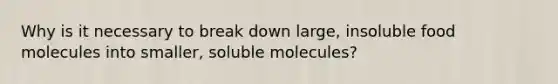 Why is it necessary to break down large, insoluble food molecules into smaller, soluble molecules?