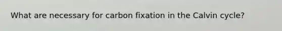 What are necessary for carbon fixation in the Calvin cycle?