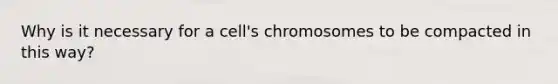 Why is it necessary for a cell's chromosomes to be compacted in this way?