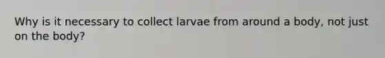 Why is it necessary to collect larvae from around a body, not just on the body?