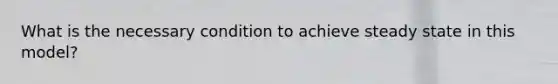 What is the necessary condition to achieve steady state in this model?