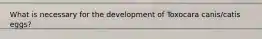What is necessary for the development of Toxocara canis/catis eggs?