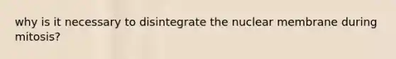 why is it necessary to disintegrate the nuclear membrane during mitosis?