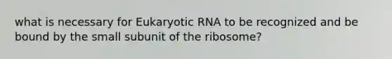 what is necessary for Eukaryotic RNA to be recognized and be bound by the small subunit of the ribosome?