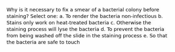 Why is it necessary to fix a smear of a bacterial colony before staining? Select one: a. To render the bacteria non-infectious b. Stains only work on heat-treated bacteria c. Otherwise the staining process will lyse the bacteria d. To prevent the bacteria from being washed off the slide in the staining process e. So that the bacteria are safe to touch