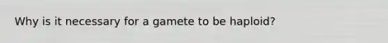 Why is it necessary for a gamete to be haploid?