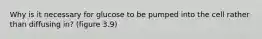 Why is it necessary for glucose to be pumped into the cell rather than diffusing in? (figure 3.9)