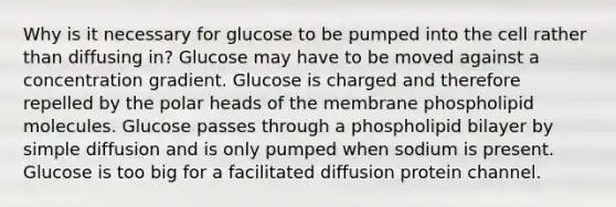 Why is it necessary for glucose to be pumped into the cell rather than diffusing in? Glucose may have to be moved against a concentration gradient. Glucose is charged and therefore repelled by the polar heads of the membrane phospholipid molecules. Glucose passes through a phospholipid bilayer by simple diffusion and is only pumped when sodium is present. Glucose is too big for a facilitated diffusion protein channel.