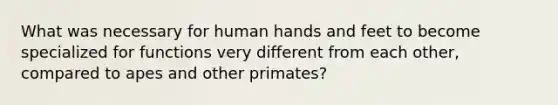 What was necessary for human hands and feet to become specialized for functions very different from each other, compared to apes and other primates?