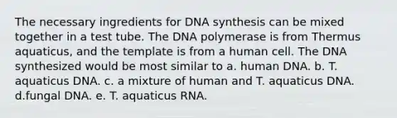 The necessary ingredients for DNA synthesis can be mixed together in a test tube. The DNA polymerase is from Thermus aquaticus, and the template is from a human cell. The DNA synthesized would be most similar to a. human DNA. b. T. aquaticus DNA. c. a mixture of human and T. aquaticus DNA. d.fungal DNA. e. T. aquaticus RNA.