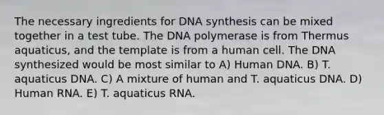 The necessary ingredients for DNA synthesis can be mixed together in a test tube. The DNA polymerase is from Thermus aquaticus, and the template is from a human cell. The DNA synthesized would be most similar to A) Human DNA. B) T. aquaticus DNA. C) A mixture of human and T. aquaticus DNA. D) Human RNA. E) T. aquaticus RNA.