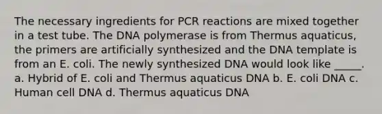 The necessary ingredients for PCR reactions are mixed together in a test tube. The DNA polymerase is from Thermus aquaticus, the primers are artificially synthesized and the DNA template is from an E. coli. The newly synthesized DNA would look like _____. a. Hybrid of E. coli and Thermus aquaticus DNA b. E. coli DNA c. Human cell DNA d. Thermus aquaticus DNA