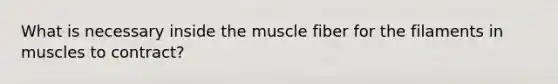 What is necessary inside the muscle fiber for the filaments in muscles to contract?