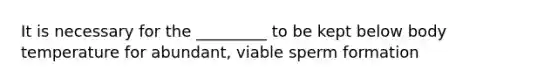 It is necessary for the _________ to be kept below body temperature for abundant, viable sperm formation