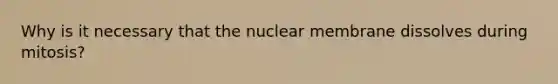 Why is it necessary that the nuclear membrane dissolves during mitosis?