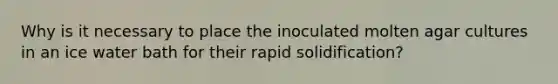 Why is it necessary to place the inoculated molten agar cultures in an ice water bath for their rapid solidification?