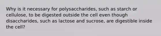 Why is it necessary for polysaccharides, such as starch or cellulose, to be digested outside the cell even though disaccharides, such as lactose and sucrose, are digestible inside the cell?