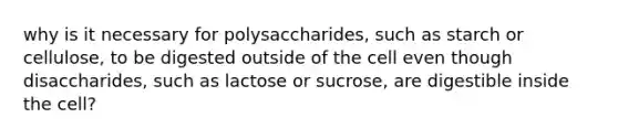 why is it necessary for polysaccharides, such as starch or cellulose, to be digested outside of the cell even though disaccharides, such as lactose or sucrose, are digestible inside the cell?