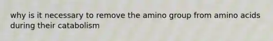 why is it necessary to remove the amino group from amino acids during their catabolism