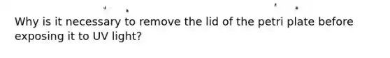 Why is it necessary to remove the lid of the petri plate before exposing it to UV light?