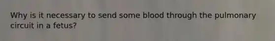 Why is it necessary to send some blood through the pulmonary circuit in a fetus?