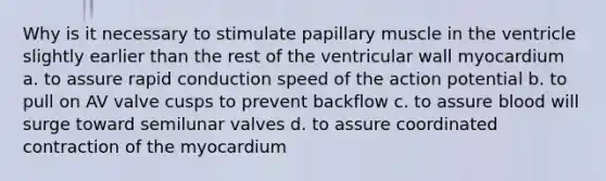 Why is it necessary to stimulate papillary muscle in the ventricle slightly earlier than the rest of the ventricular wall myocardium a. to assure rapid conduction speed of the action potential b. to pull on AV valve cusps to prevent backflow c. to assure blood will surge toward semilunar valves d. to assure coordinated contraction of the myocardium