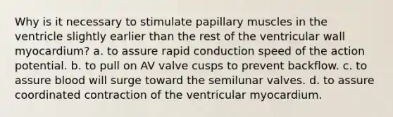 Why is it necessary to stimulate papillary muscles in the ventricle slightly earlier than the rest of the ventricular wall myocardium? a. to assure rapid conduction speed of the action potential. b. to pull on AV valve cusps to prevent backflow. c. to assure blood will surge toward the semilunar valves. d. to assure coordinated contraction of the ventricular myocardium.