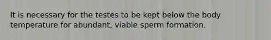 It is necessary for the testes to be kept below the body temperature for abundant, viable sperm formation.
