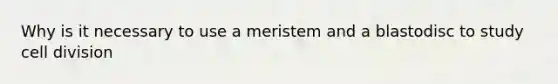 Why is it necessary to use a meristem and a blastodisc to study cell division