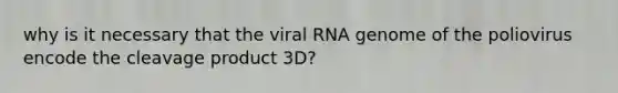 why is it necessary that the viral RNA genome of the poliovirus encode the cleavage product 3D?