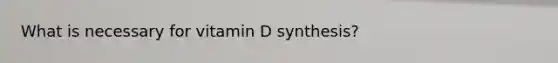 What is necessary for vitamin D synthesis?