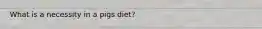 What is a necessity in a pigs diet?