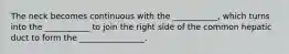 The neck becomes continuous with the ___________, which turns into the ___________ to join the right side of the common hepatic duct to form the ________________.