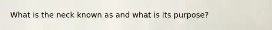 What is the neck known as and what is its purpose?