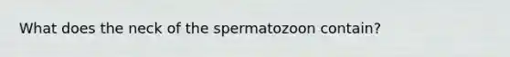 What does the neck of the spermatozoon contain?