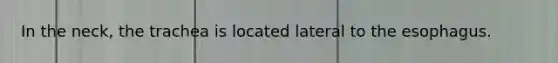 In the neck, the trachea is located lateral to the esophagus.